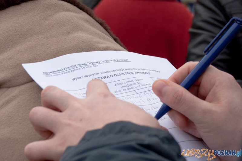 Marsz (NIE) Milczenia w obronie praw zwierząt - 13.02.2011 r.> Foto: LepszyPOZNAN.pl / Paweł Rychter Marsz (NIE) Milczenia w obronie praw zwierząt - 13.02.2011 r.> Foto: LepszyPOZNAN.pl / Paweł Rychter