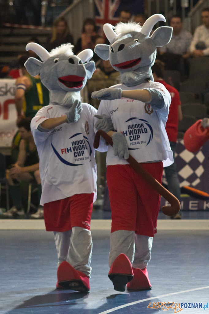 III Halowe Mistrzostwa Świata w Hokeju na Trawie Foto: lepszyPOZNAN.pl / Piotr Rychter III Halowe Mistrzostwa Świata w Hokeju na Trawie Foto: lepszyPOZNAN.pl / Piotr Rychter