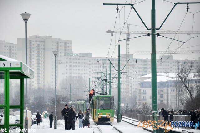 Górny Taras Rataj bez tramwajów Foto: mpk.poznan.pl / K.Lesińska Górny Taras Rataj bez tramwajów Foto: mpk.poznan.pl / K.Lesińska