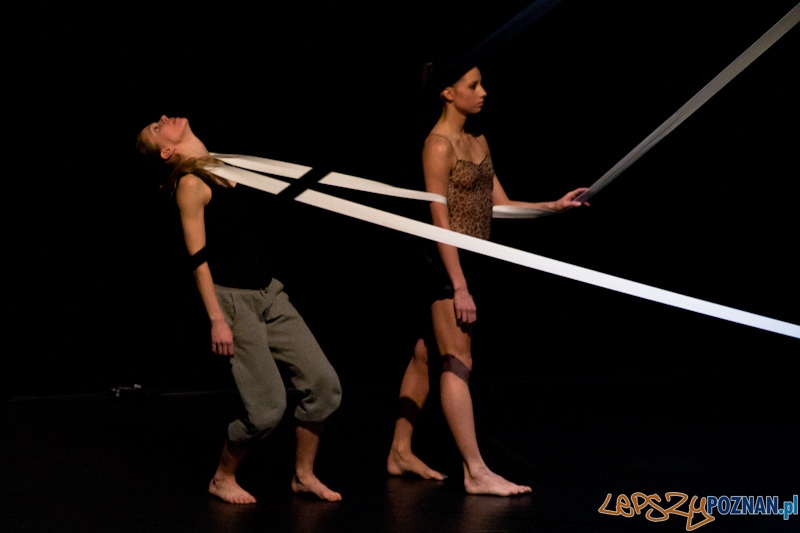 IV Festiwal Atelier Polskiego Teatru Tańca – COACHING PROJECT - 27.02.2011 r. Foto: LepszyPOZNAN.pl / Paweł Rychter IV Festiwal Atelier Polskiego Teatru Tańca – COACHING PROJECT - 27.02.2011 r. Foto: LepszyPOZNAN.pl / Paweł Rychter