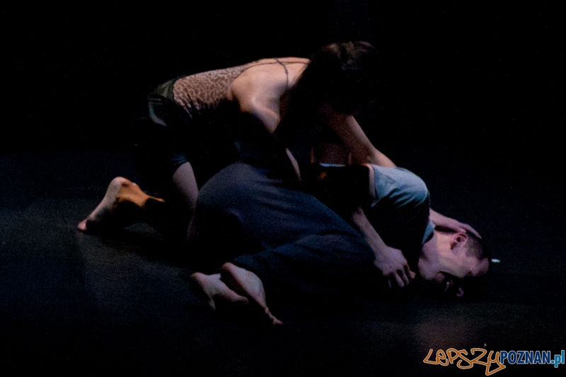 IV Festiwal Atelier Polskiego Teatru Tańca – COACHING PROJECT - 27.02.2011 r. Foto: LepszyPOZNAN.pl / Paweł Rychter IV Festiwal Atelier Polskiego Teatru Tańca – COACHING PROJECT - 27.02.2011 r. Foto: LepszyPOZNAN.pl / Paweł Rychter