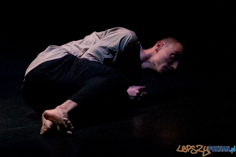 IV Festiwal Atelier Polskiego Teatru Tańca – COACHING PROJECT - 27.02.2011 r. Foto: LepszyPOZNAN.pl / Paweł Rychter IV Festiwal Atelier Polskiego Teatru Tańca – COACHING PROJECT - 27.02.2011 r. Foto: LepszyPOZNAN.pl / Paweł Rychter