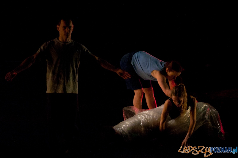 IV Festiwal Atelier Polskiego Teatru Tańca – COACHING PROJECT - 27.02.2011 r. Foto: LepszyPOZNAN.pl / Paweł Rychter IV Festiwal Atelier Polskiego Teatru Tańca – COACHING PROJECT - 27.02.2011 r. Foto: LepszyPOZNAN.pl / Paweł Rychter