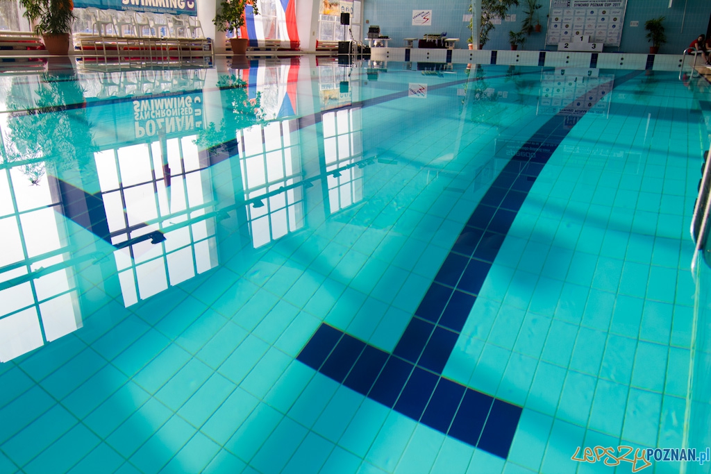 Synchro Poznań CUP 2011 - wręczenie nagród Foto: lepszyPOZNAN.pl / Piotr Rychter Synchro Poznań CUP 2011 - wręczenie nagród Foto: lepszyPOZNAN.pl / Piotr Rychter