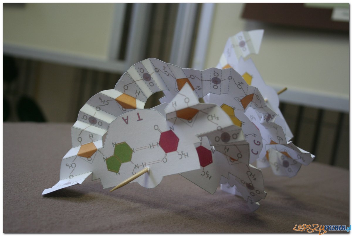 Poznański Festiwal Nauki i Sztuki Foto: Poznański Festiwal Nauki i Sztuki Poznański Festiwal Nauki i Sztuki Foto: Poznański Festiwal Nauki i Sztuki