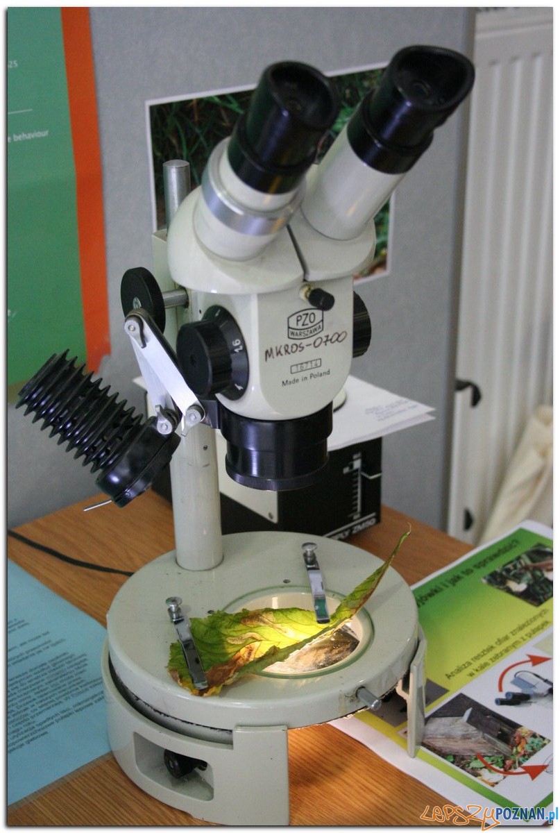 Poznański Festiwal Nauki i Sztuki Foto: Poznański Festiwal Nauki i Sztuki Poznański Festiwal Nauki i Sztuki Foto: Poznański Festiwal Nauki i Sztuki