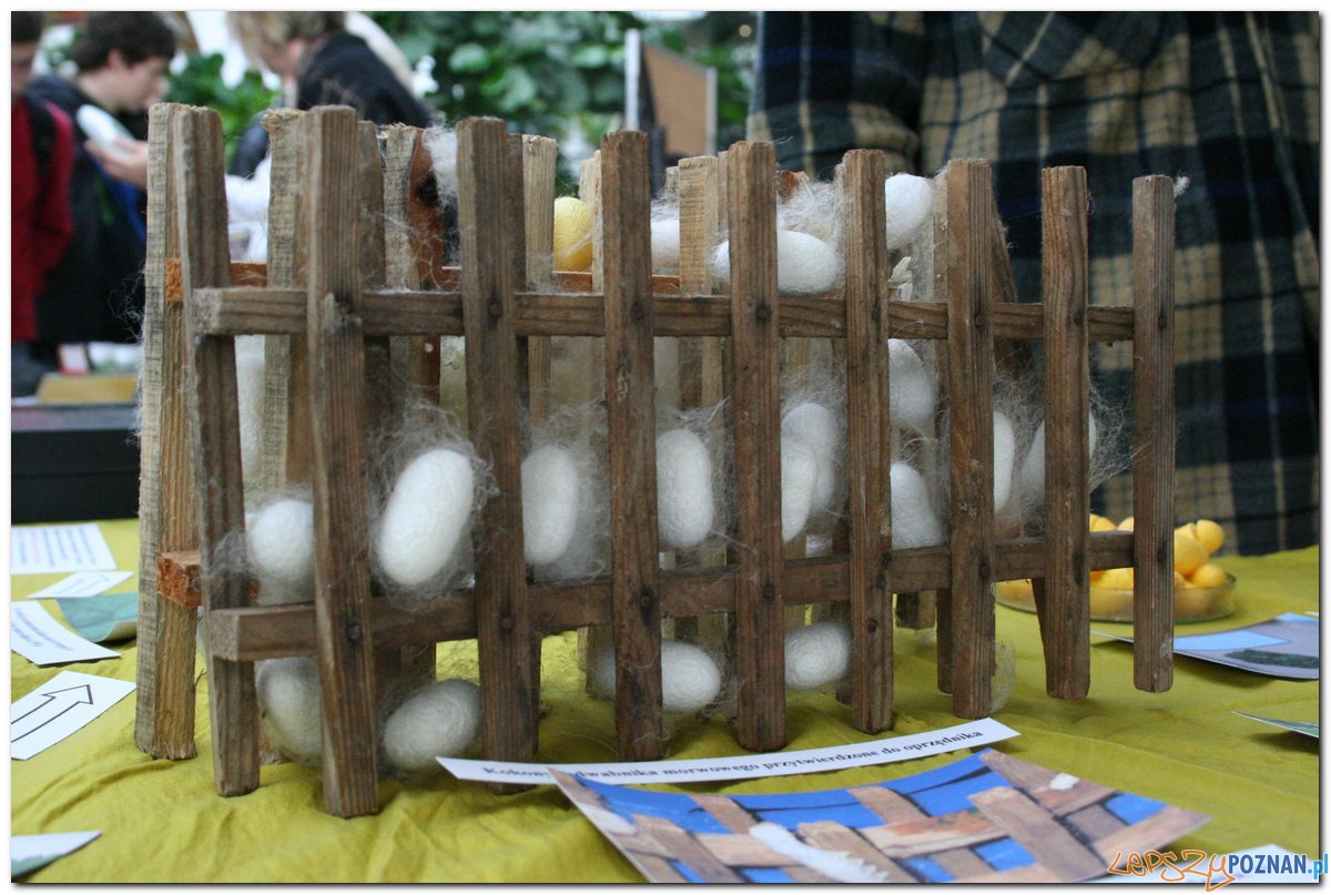 Poznański Festiwal Nauki i Sztuki Foto: Poznański Festiwal Nauki i Sztuki Poznański Festiwal Nauki i Sztuki Foto: Poznański Festiwal Nauki i Sztuki