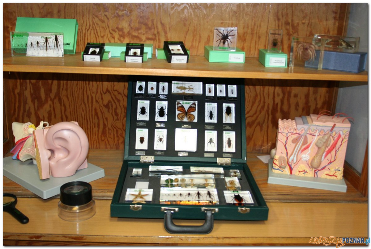 Poznański Festiwal Nauki i Sztuki Foto: Poznański Festiwal Nauki i Sztuki Poznański Festiwal Nauki i Sztuki Foto: Poznański Festiwal Nauki i Sztuki