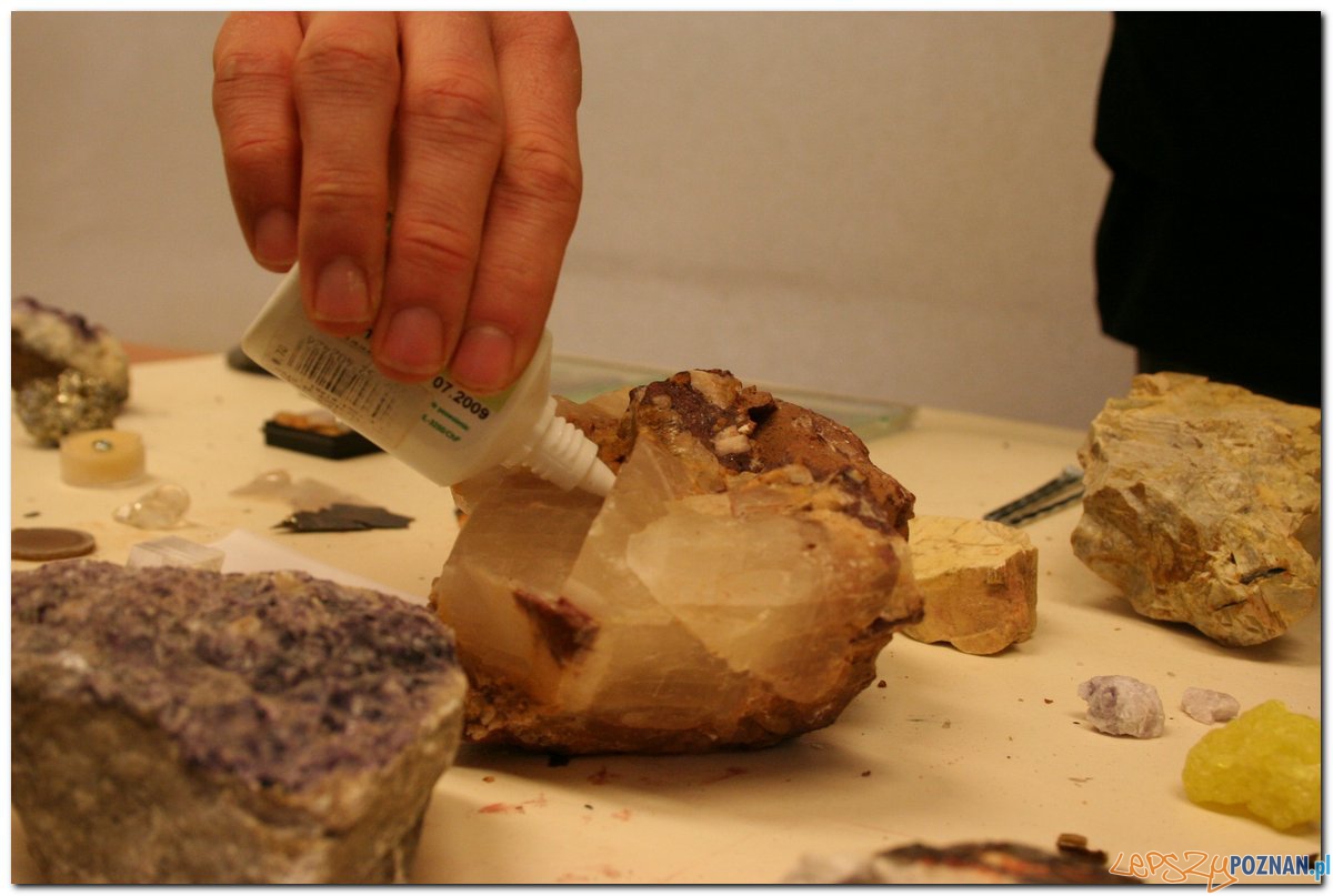 Poznański Festiwal Nauki i Sztuki Foto: Poznański Festiwal Nauki i Sztuki Poznański Festiwal Nauki i Sztuki Foto: Poznański Festiwal Nauki i Sztuki