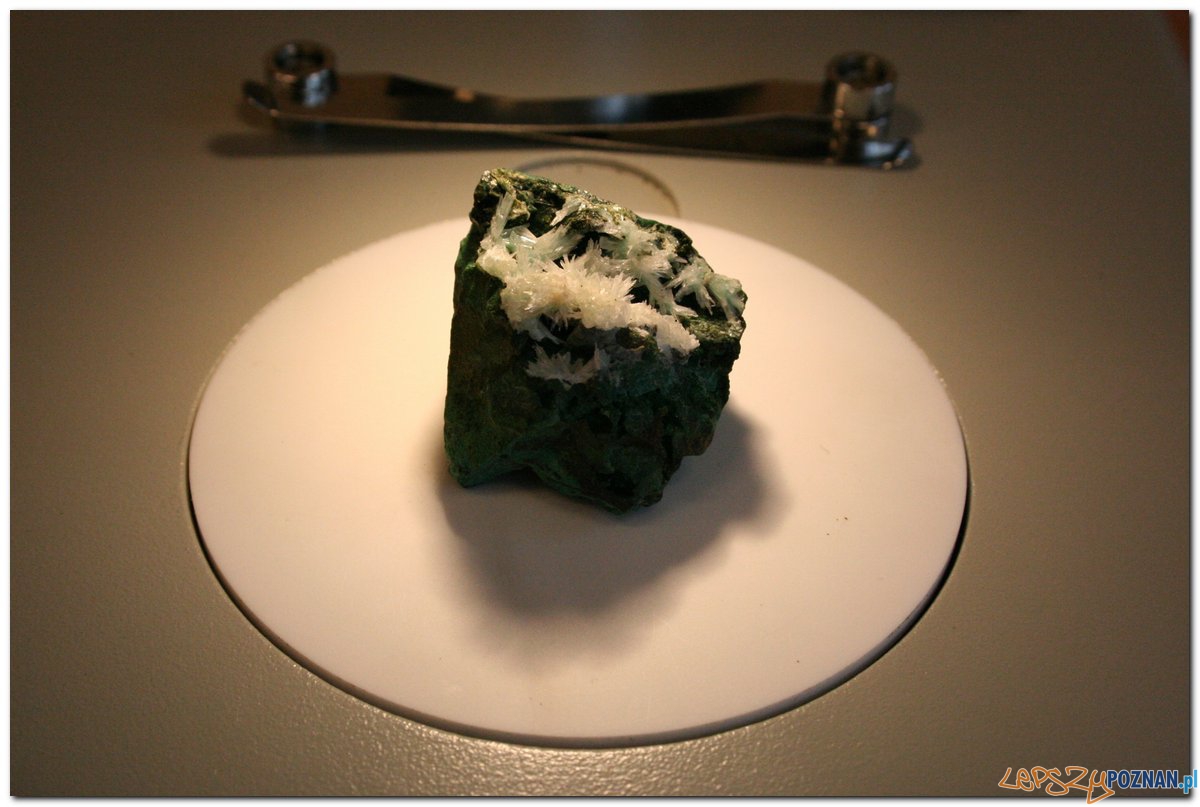 Poznański Festiwal Nauki i Sztuki Foto: Poznański Festiwal Nauki i Sztuki Poznański Festiwal Nauki i Sztuki Foto: Poznański Festiwal Nauki i Sztuki