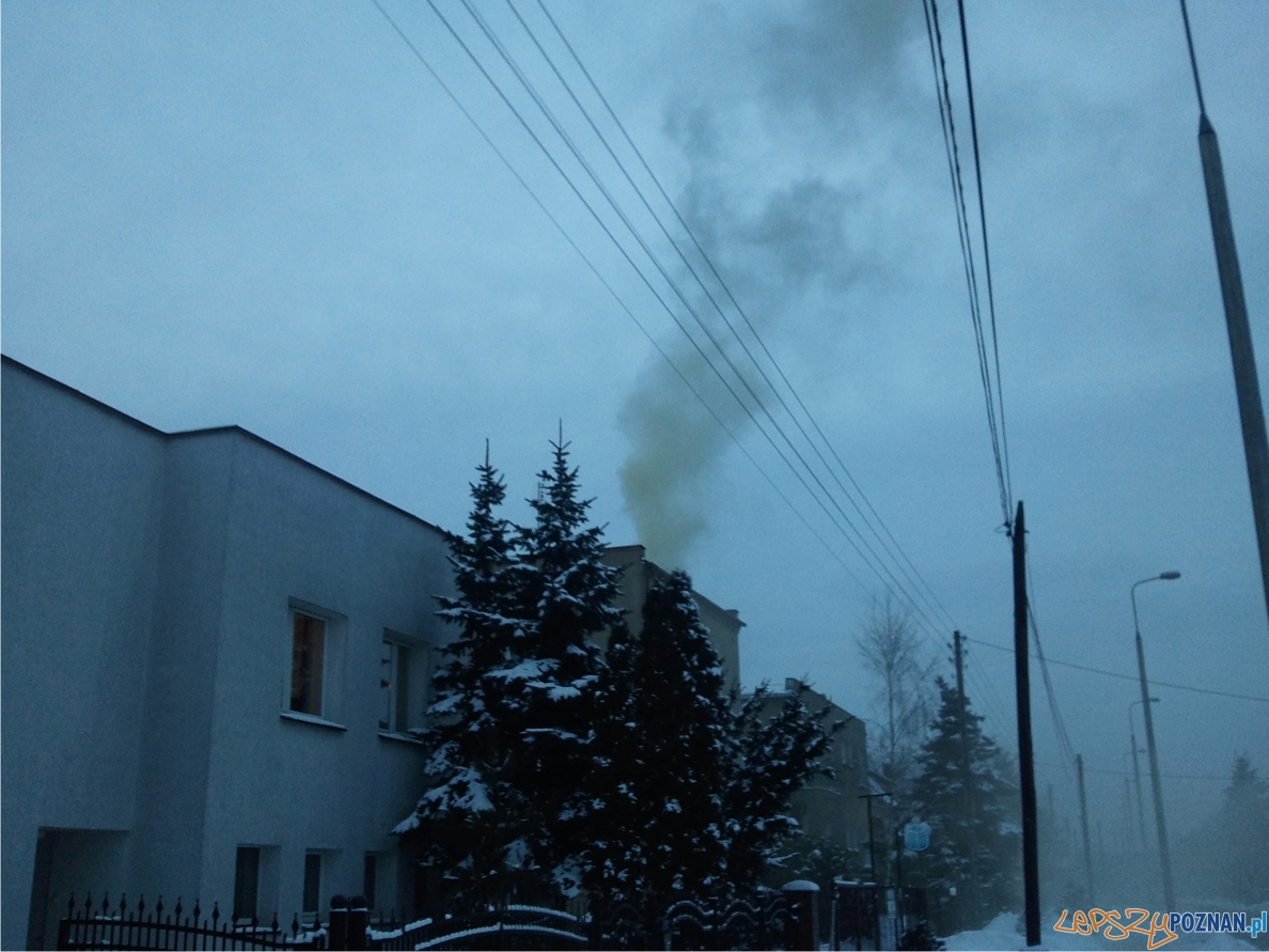 Uciążliwy dym z komina Foto: lepszyPOZNAN.pl / ag Uciążliwy dym z komina Foto: lepszyPOZNAN.pl / ag