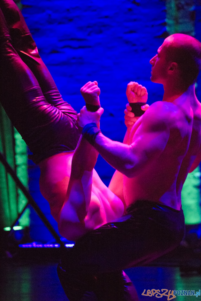 Poznańska Gala Sportu Foto: lepszyPOZNAN.pl / Piotr Rychter Poznańska Gala Sportu Foto: lepszyPOZNAN.pl / Piotr Rychter