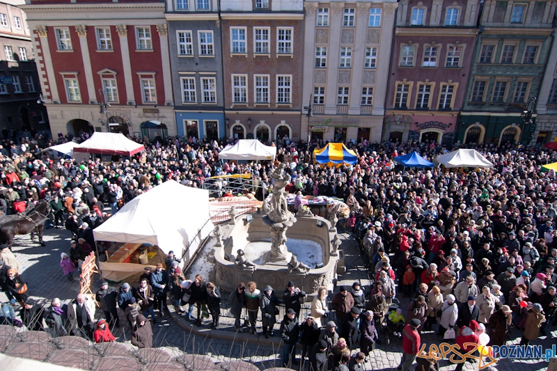 Kaziuki na Starym Rynku w Poznaniu Foto: LepszyPOZNAN.pl / Paweł Rychter Kaziuki na Starym Rynku w Poznaniu Foto: LepszyPOZNAN.pl / Paweł Rychter