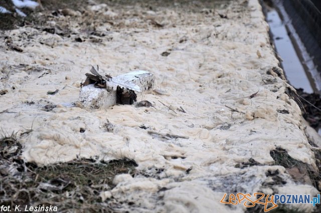 Awaria wodociągowa na PST Foto: MPK Awaria wodociągowa na PST Foto: MPK