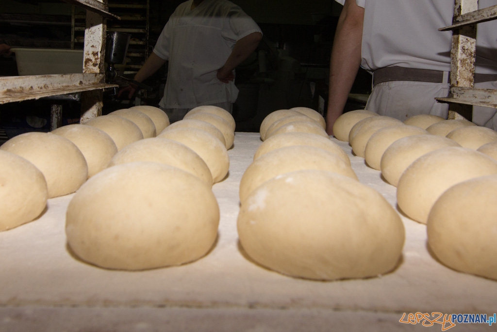 Pączki - dobrze wyrośniete Foto: lepszyPOZNAN.pl / Piotr Rychter Pączki - dobrze wyrośniete Foto: lepszyPOZNAN.pl / Piotr Rychter