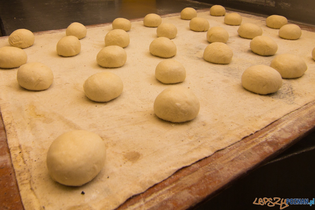 Pączki na garowanie Foto: lepszyPOZNAN.pl / Piotr Rychter Pączki na garowanie Foto: lepszyPOZNAN.pl / Piotr Rychter