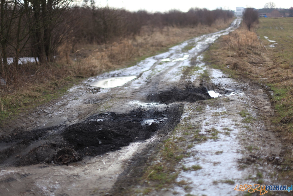 Gruz na polnej drodze Foto: Straż Miejska w Poznaniu Gruz na polnej drodze Foto: Straż Miejska w Poznaniu