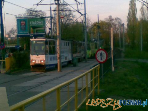Tramwaj wypadł z szyn na Rosevelta Foto: lepszyPOZNAN.pl/gsm Tramwaj wypadł z szyn na Rosevelta Foto: lepszyPOZNAN.pl/gsm
