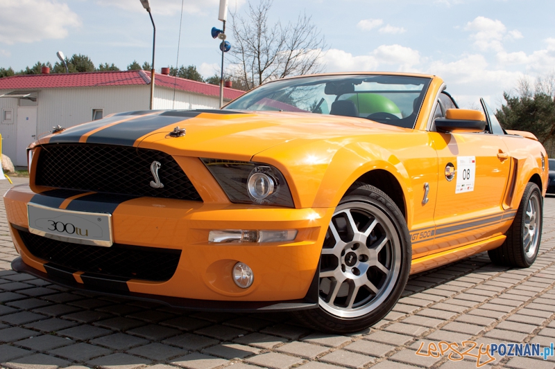 spotkanie klubu 300tu na Torze Poznań - 16.04.2011 r. Foto: LepszyPOZNAN.pl / Paweł Rychter spotkanie klubu 300tu na Torze Poznań - 16.04.2011 r. Foto: LepszyPOZNAN.pl / Paweł Rychter