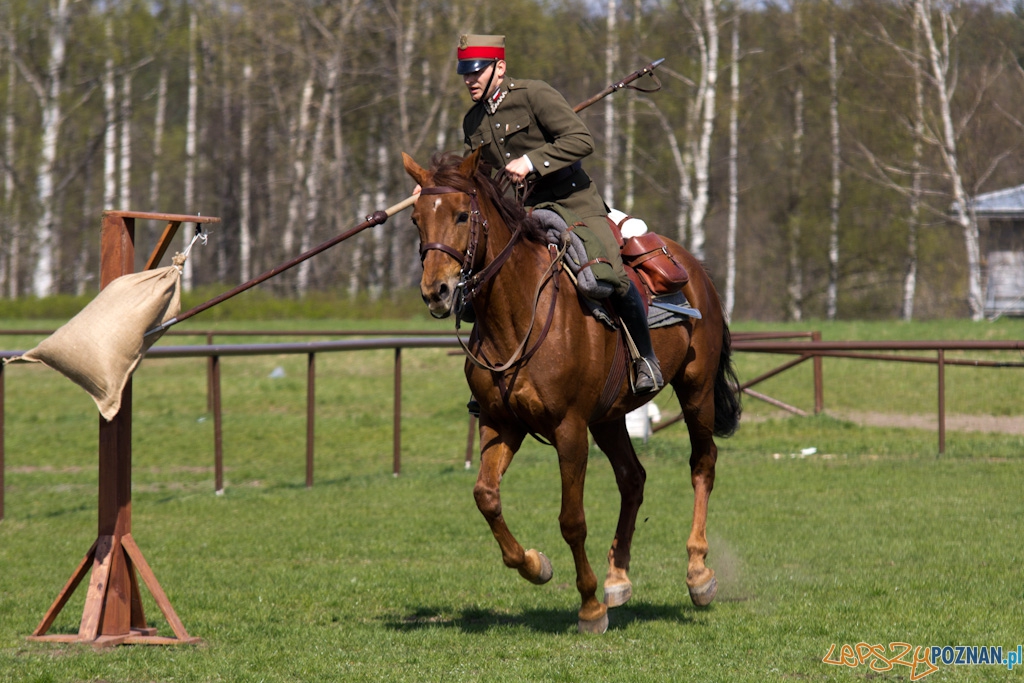 Dni Ułana 2011 - konkurs władania lancą Foto: lepszyPOZNAN.pl / Piotr Rychter Dni Ułana 2011 - konkurs władania lancą Foto: lepszyPOZNAN.pl / Piotr Rychter