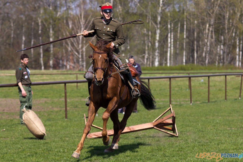 Dni Ułana 2011 - konkurs władania lancą Foto: lepszyPOZNAN.pl / Piotr Rychter Dni Ułana 2011 - konkurs władania lancą Foto: lepszyPOZNAN.pl / Piotr Rychter