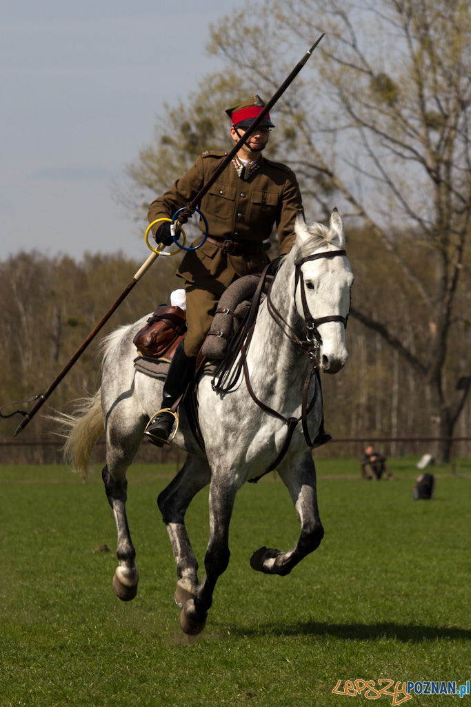 Dni Ułana 2011 - konkurs władania lancą Foto: lepszyPOZNAN.pl / Piotr Rychter Dni Ułana 2011 - konkurs władania lancą Foto: lepszyPOZNAN.pl / Piotr Rychter
