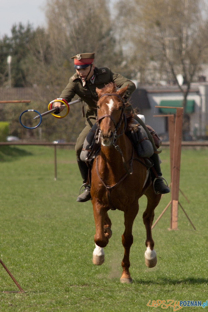 Dni Ułana 2011 - konkurs władania lancą Foto: lepszyPOZNAN.pl / Piotr Rychter Dni Ułana 2011 - konkurs władania lancą Foto: lepszyPOZNAN.pl / Piotr Rychter
