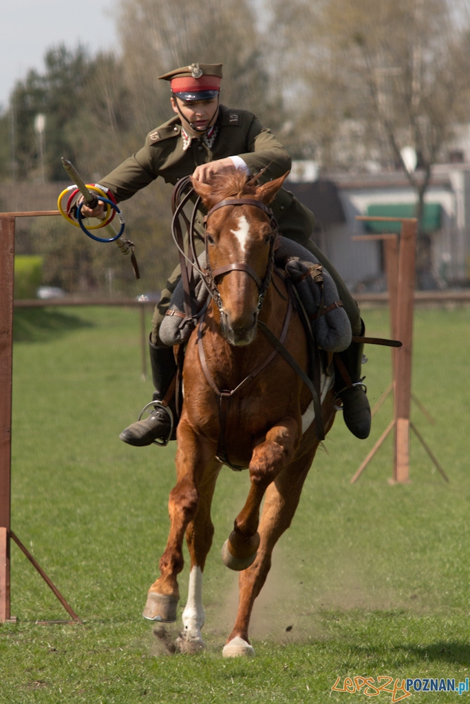 Dni Ułana 2011 - konkurs władania lancą Foto: lepszyPOZNAN.pl / Piotr Rychter Dni Ułana 2011 - konkurs władania lancą Foto: lepszyPOZNAN.pl / Piotr Rychter