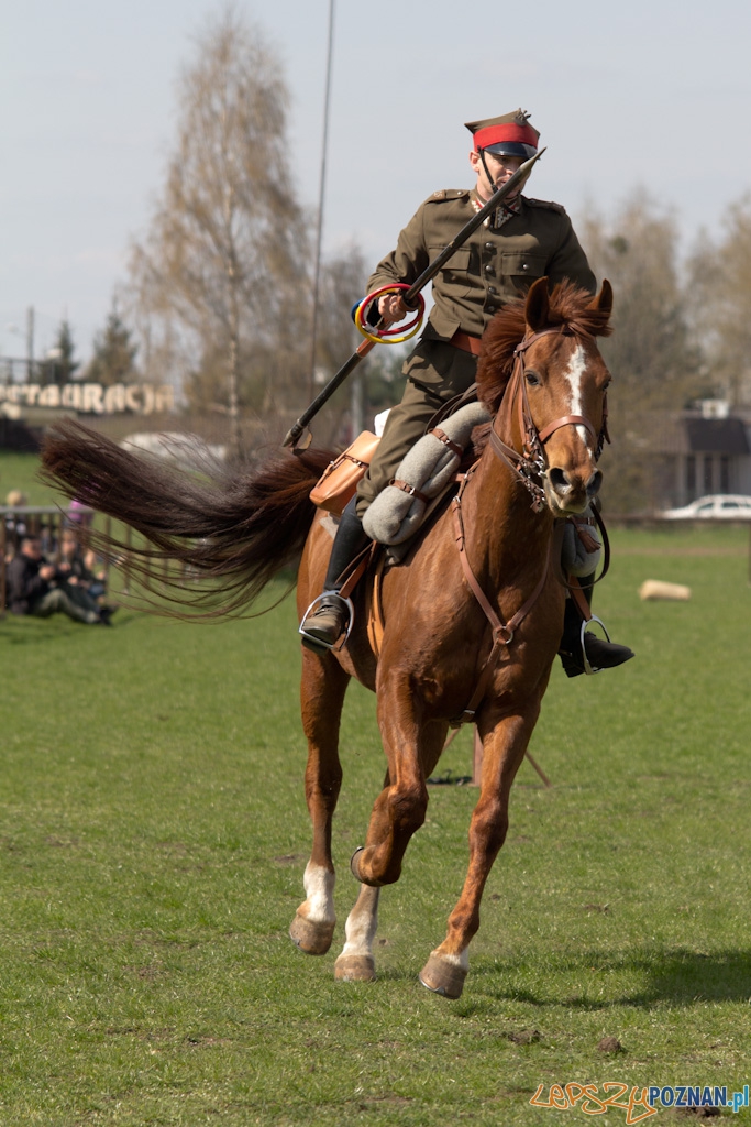 Dni Ułana 2011 - konkurs władania lancą Foto: lepszyPOZNAN.pl / Piotr Rychter Dni Ułana 2011 - konkurs władania lancą Foto: lepszyPOZNAN.pl / Piotr Rychter