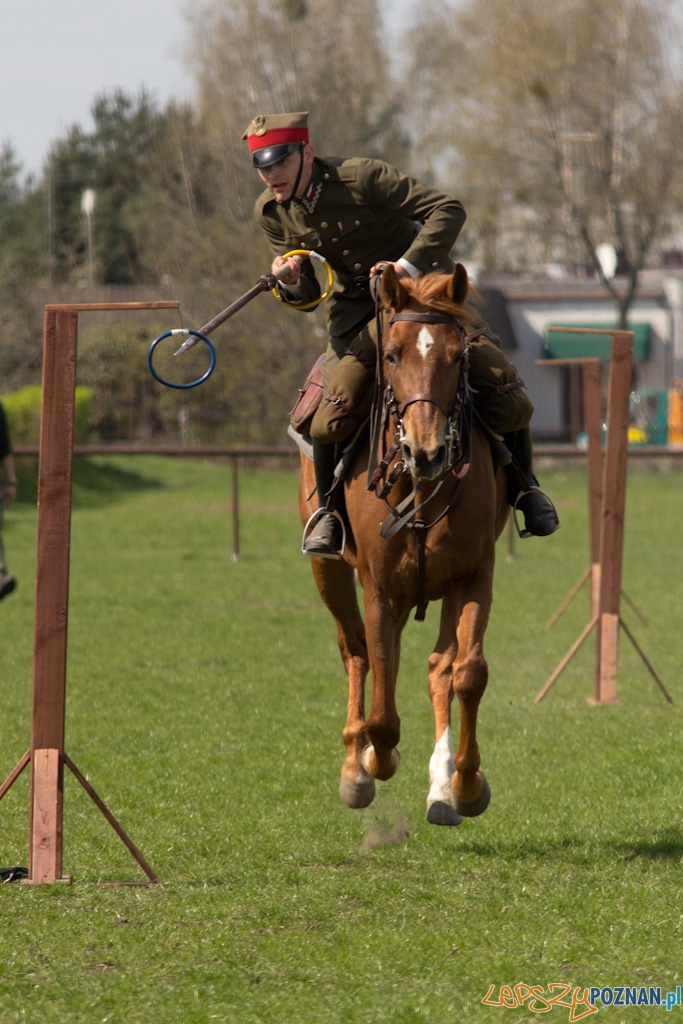Dni Ułana 2011 - konkurs władania lancą Foto: lepszyPOZNAN.pl / Piotr Rychter Dni Ułana 2011 - konkurs władania lancą Foto: lepszyPOZNAN.pl / Piotr Rychter