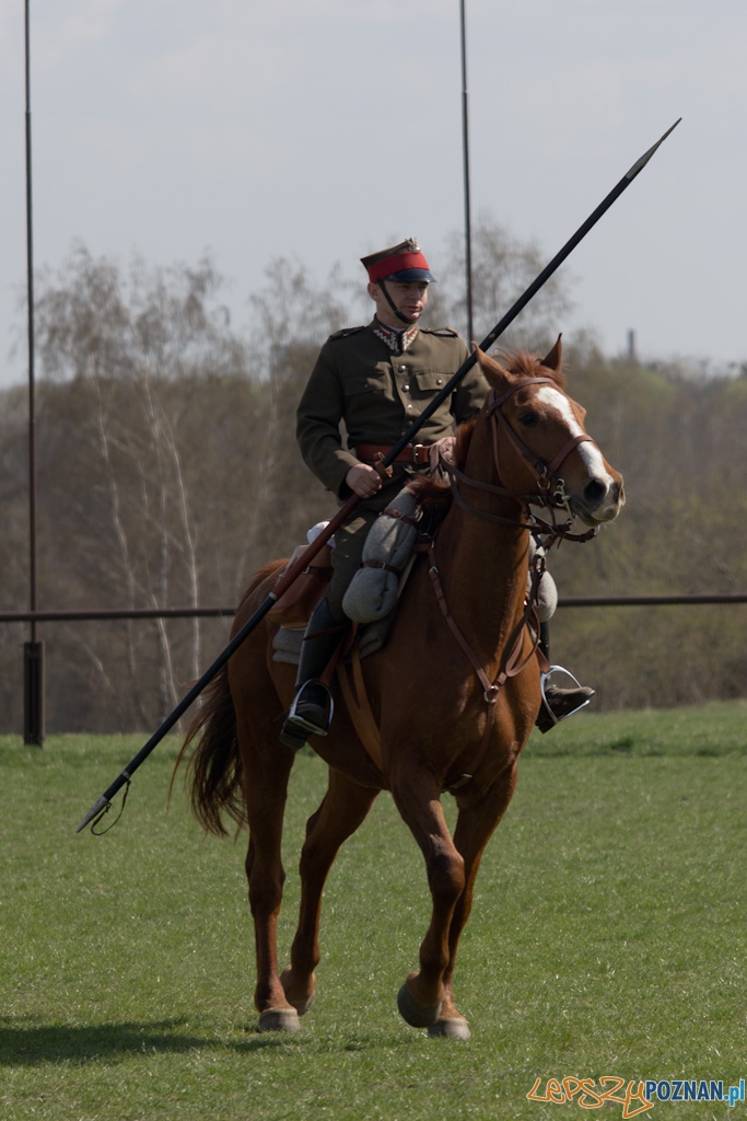 Dni Ułana 2011 - konkurs władania lancą Foto: lepszyPOZNAN.pl / Piotr Rychter Dni Ułana 2011 - konkurs władania lancą Foto: lepszyPOZNAN.pl / Piotr Rychter