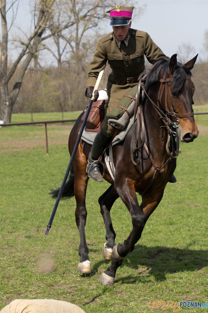 Dni Ułana 2011 - konkurs władania lancą Foto: lepszyPOZNAN.pl / Piotr Rychter Dni Ułana 2011 - konkurs władania lancą Foto: lepszyPOZNAN.pl / Piotr Rychter