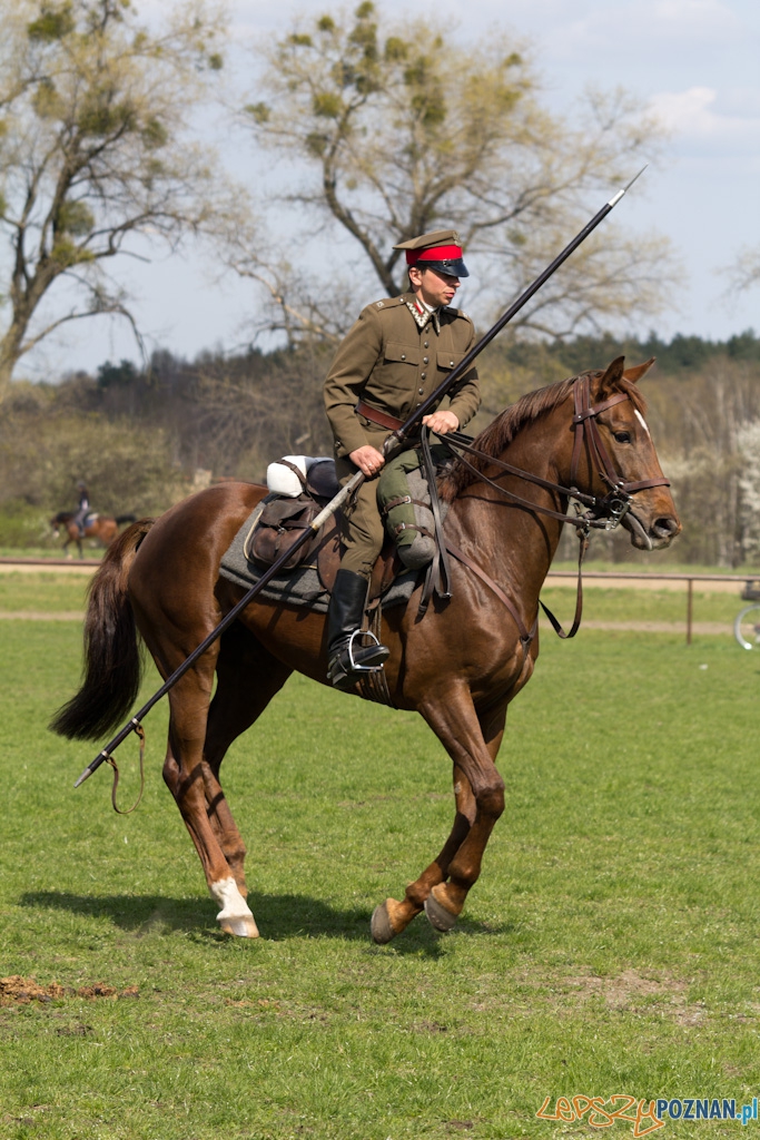 Dni Ułana 2011 - konkurs władania lancą Foto: lepszyPOZNAN.pl / Piotr Rychter Dni Ułana 2011 - konkurs władania lancą Foto: lepszyPOZNAN.pl / Piotr Rychter