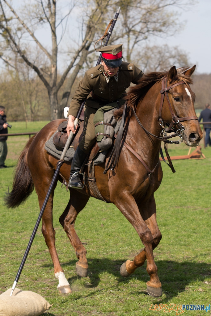 Dni Ułana 2011 - konkurs władania lancą Foto: lepszyPOZNAN.pl / Piotr Rychter Dni Ułana 2011 - konkurs władania lancą Foto: lepszyPOZNAN.pl / Piotr Rychter