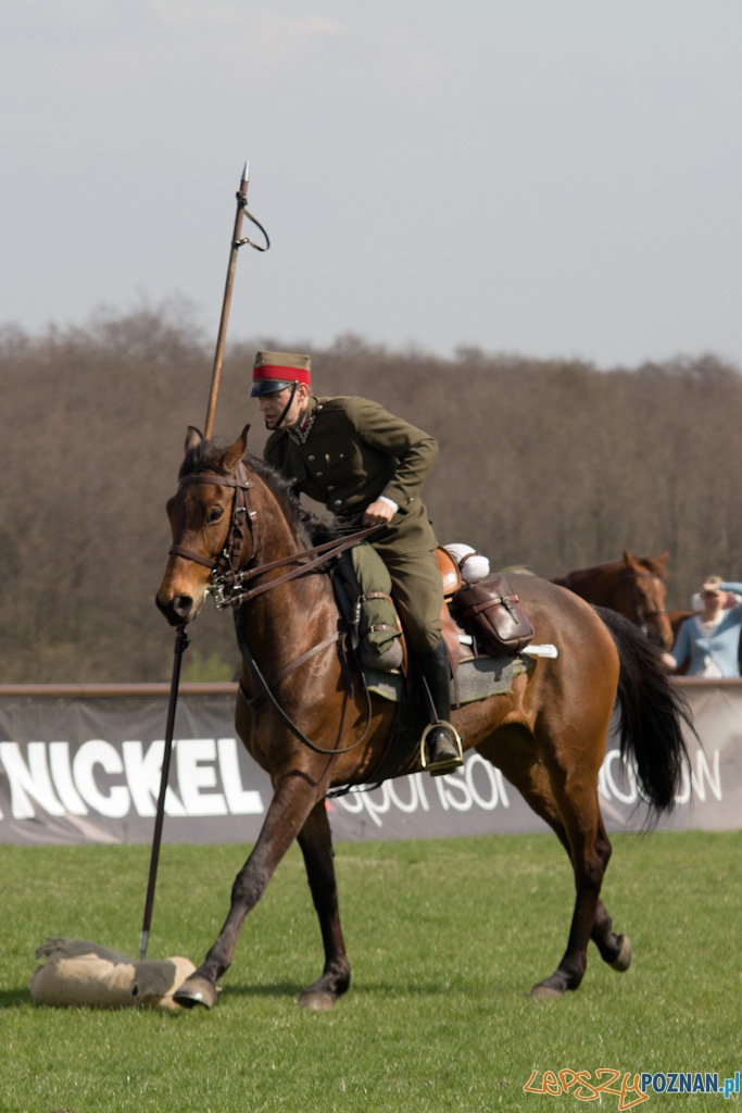 Dni Ułana 2011 - konkurs władania lancą Foto: lepszyPOZNAN.pl / Piotr Rychter Dni Ułana 2011 - konkurs władania lancą Foto: lepszyPOZNAN.pl / Piotr Rychter