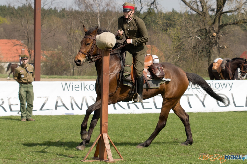 Dni Ułana 2011 - konkurs władania lancą Foto: lepszyPOZNAN.pl / Piotr Rychter Dni Ułana 2011 - konkurs władania lancą Foto: lepszyPOZNAN.pl / Piotr Rychter