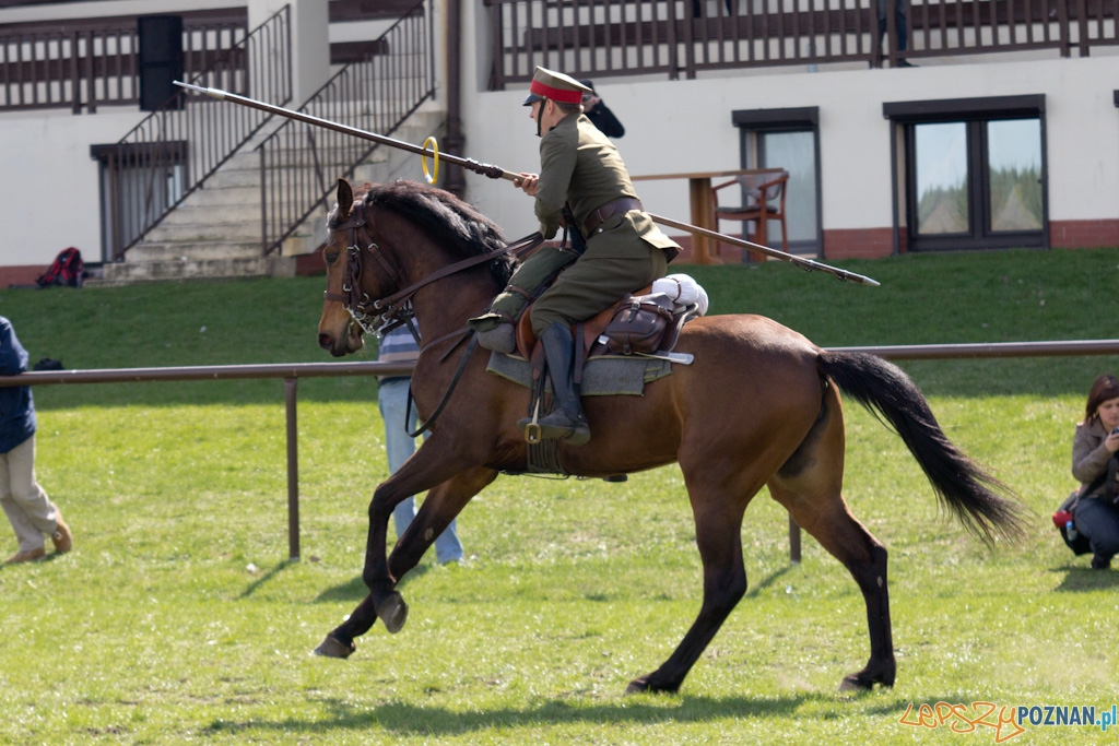 Dni Ułana 2011 - konkurs władania lancą Foto: lepszyPOZNAN.pl / Piotr Rychter Dni Ułana 2011 - konkurs władania lancą Foto: lepszyPOZNAN.pl / Piotr Rychter
