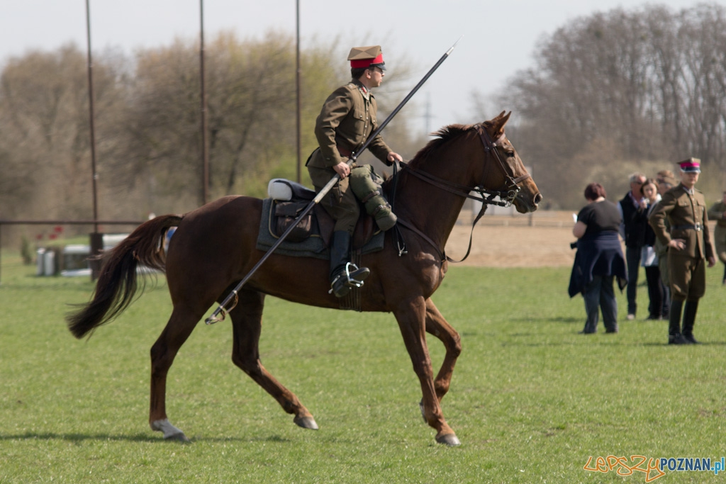 Dni Ułana 2011 - konkurs władania lancą Foto: lepszyPOZNAN.pl / Piotr Rychter Dni Ułana 2011 - konkurs władania lancą Foto: lepszyPOZNAN.pl / Piotr Rychter