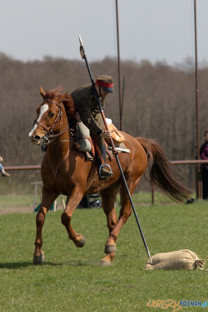 Dni Ułana 2011 - konkurs władania lancą Foto: lepszyPOZNAN.pl / Piotr Rychter Dni Ułana 2011 - konkurs władania lancą Foto: lepszyPOZNAN.pl / Piotr Rychter