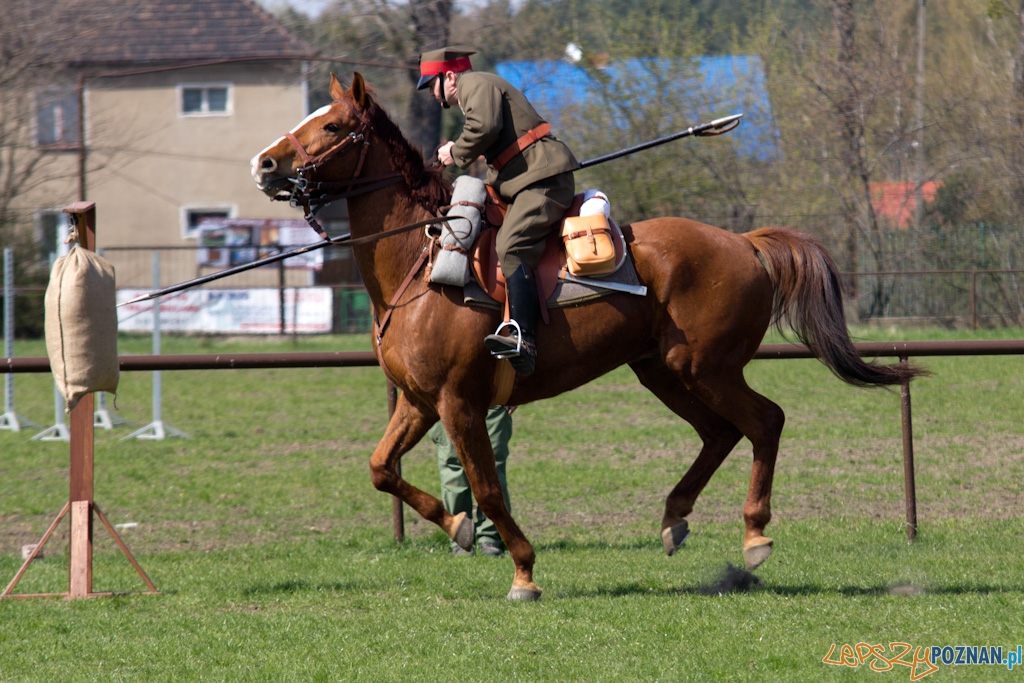 Dni Ułana 2011 - konkurs władania lancą Foto: lepszyPOZNAN.pl / Piotr Rychter Dni Ułana 2011 - konkurs władania lancą Foto: lepszyPOZNAN.pl / Piotr Rychter