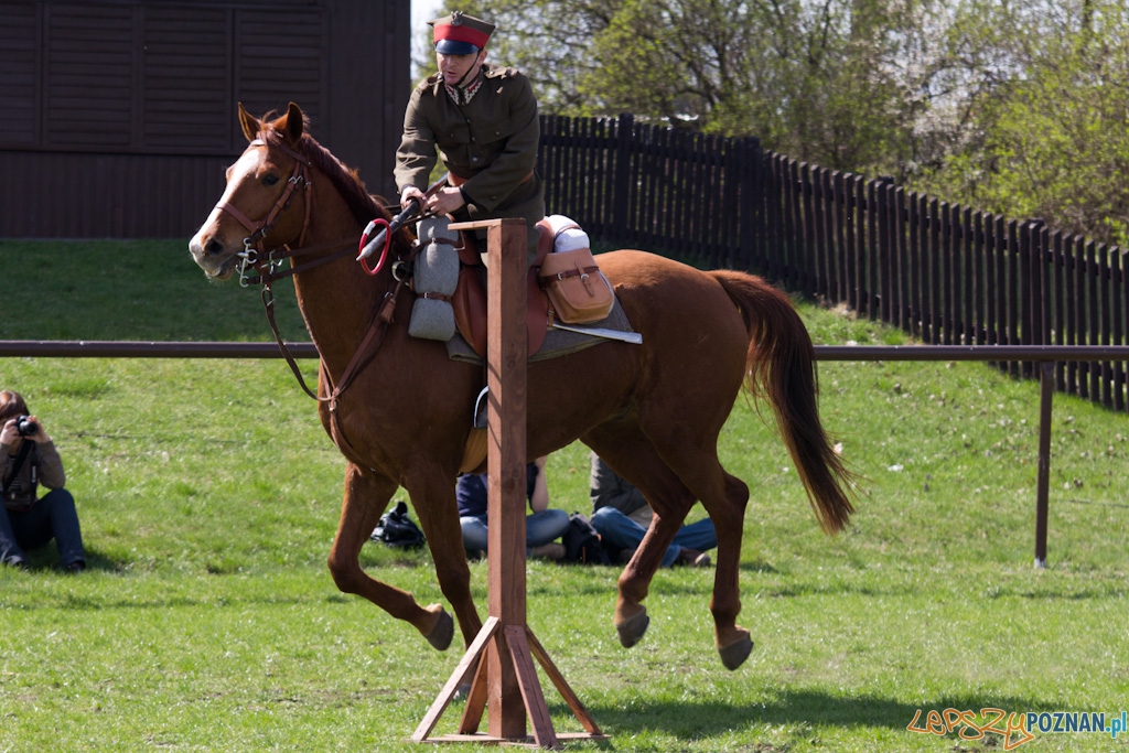 Dni Ułana 2011 - konkurs władania lancą Foto: lepszyPOZNAN.pl / Piotr Rychter Dni Ułana 2011 - konkurs władania lancą Foto: lepszyPOZNAN.pl / Piotr Rychter
