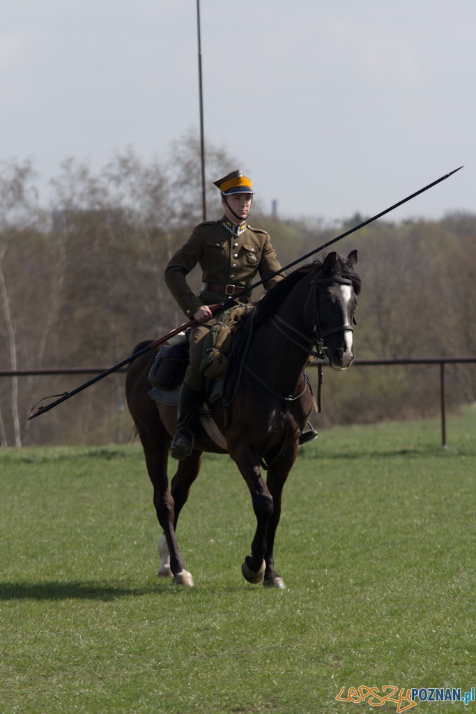 Dni Ułana 2011 - konkurs władania lancą Foto: lepszyPOZNAN.pl / Piotr Rychter Dni Ułana 2011 - konkurs władania lancą Foto: lepszyPOZNAN.pl / Piotr Rychter
