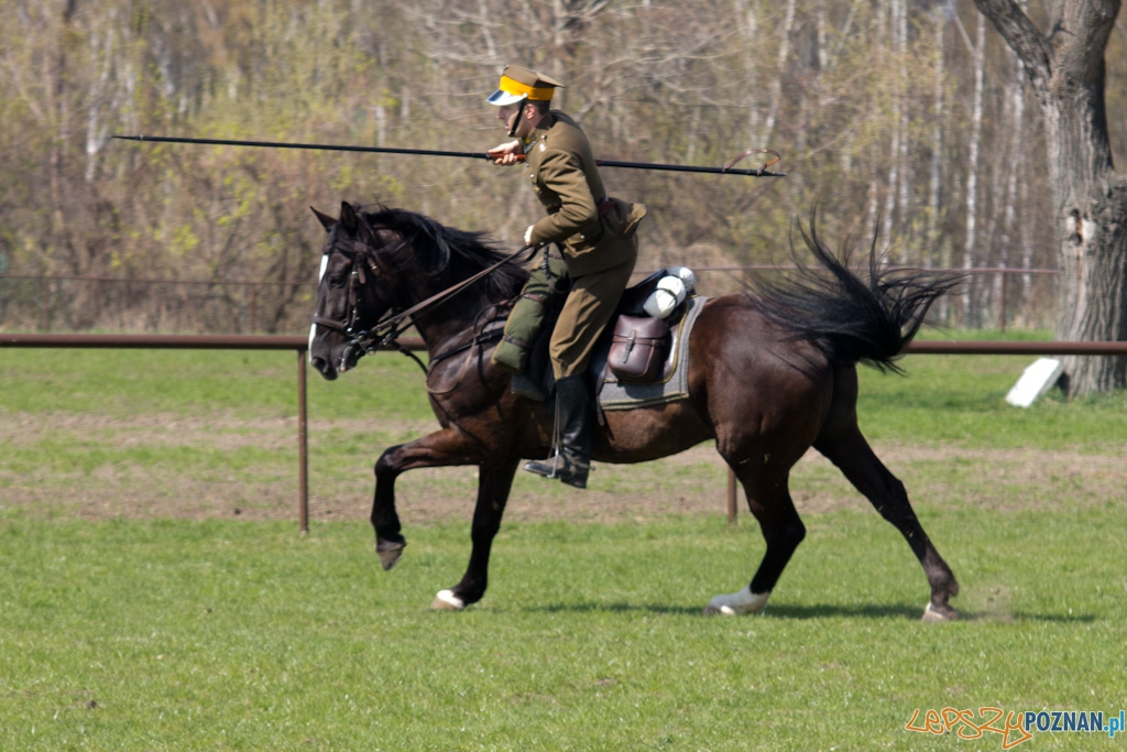 Dni Ułana 2011 - konkurs władania lancą Foto: lepszyPOZNAN.pl / Piotr Rychter Dni Ułana 2011 - konkurs władania lancą Foto: lepszyPOZNAN.pl / Piotr Rychter