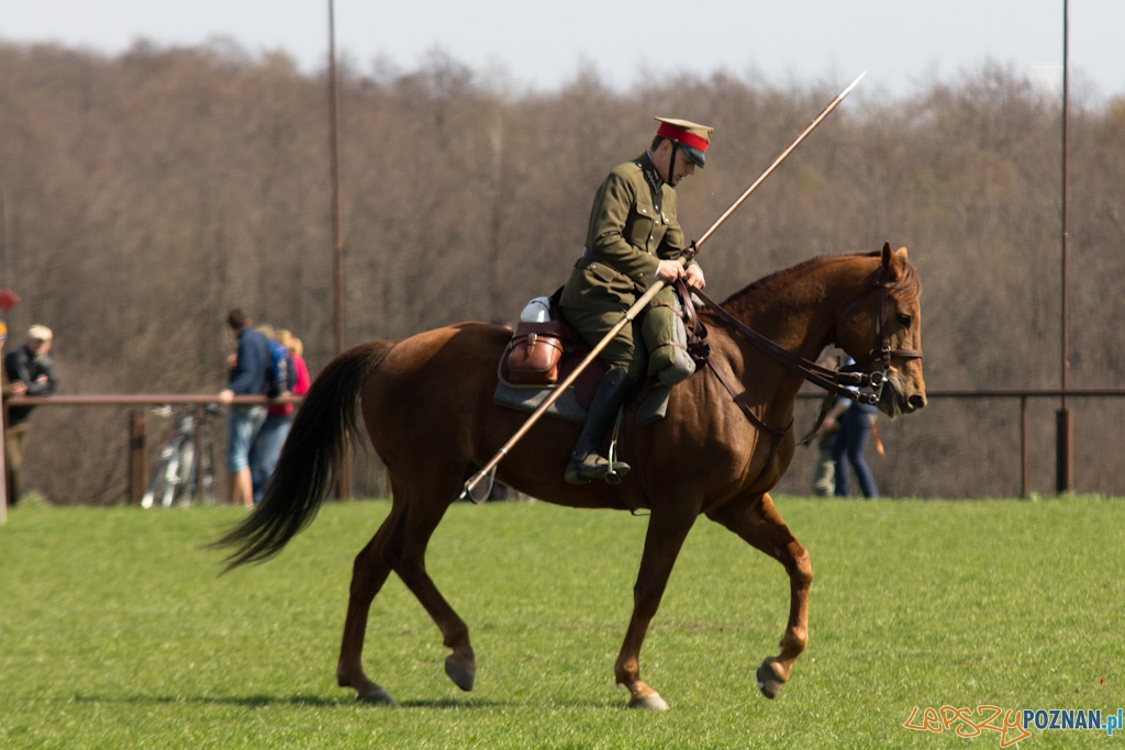 Dni Ułana 2011 - konkurs władania lancą Foto: lepszyPOZNAN.pl / Piotr Rychter Dni Ułana 2011 - konkurs władania lancą Foto: lepszyPOZNAN.pl / Piotr Rychter