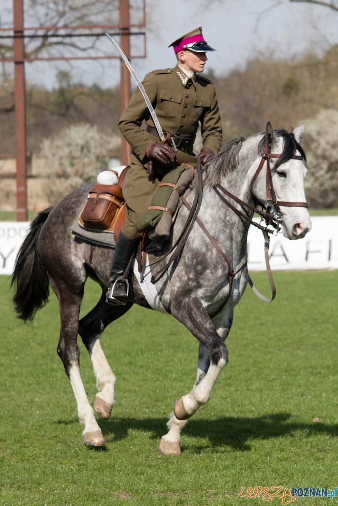 Dni Ułana 2011 - konkurs władania szpadą Foto: lepszyPOZNAN.pl / Piotr Rychter Dni Ułana 2011 - konkurs władania szpadą Foto: lepszyPOZNAN.pl / Piotr Rychter