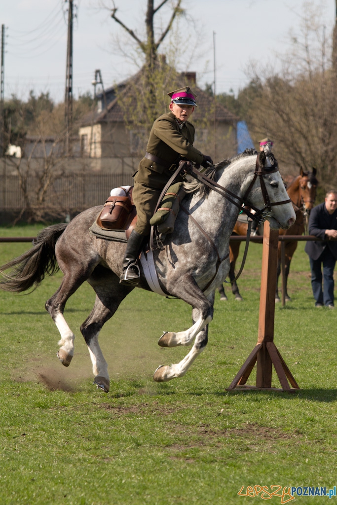 Dni Ułana 2011 - konkurs władania szpadą Foto: lepszyPOZNAN.pl / Piotr Rychter Dni Ułana 2011 - konkurs władania szpadą Foto: lepszyPOZNAN.pl / Piotr Rychter