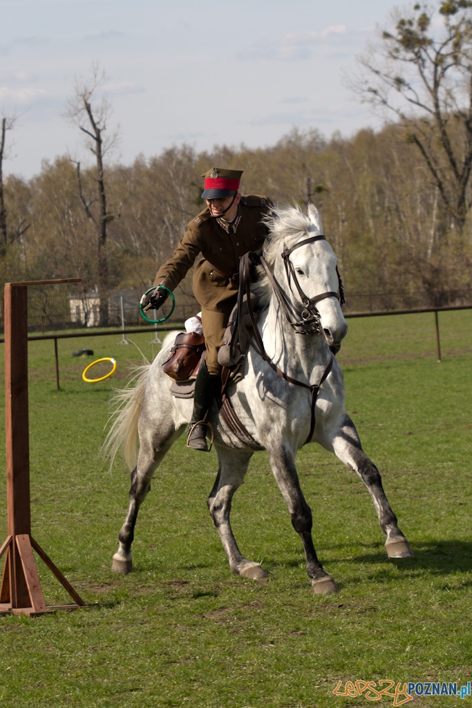 Dni Ułana 2011 - konkurs władania szpadą Foto: lepszyPOZNAN.pl / Piotr Rychter Dni Ułana 2011 - konkurs władania szpadą Foto: lepszyPOZNAN.pl / Piotr Rychter