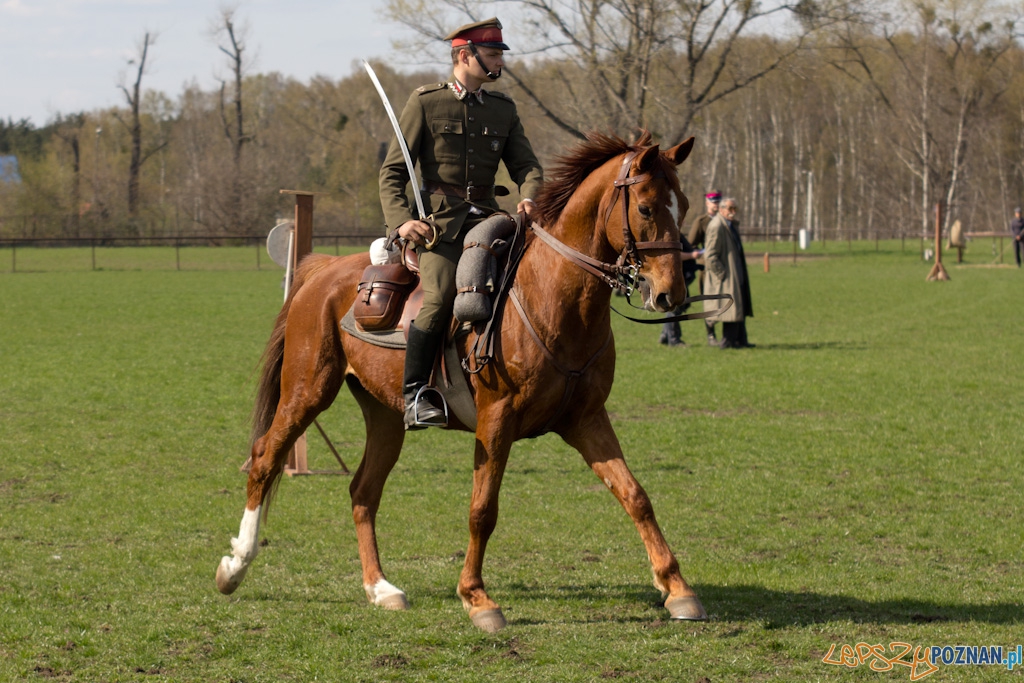 Dni Ułana 2011 - konkurs władania szpadą Foto: lepszyPOZNAN.pl / Piotr Rychter Dni Ułana 2011 - konkurs władania szpadą Foto: lepszyPOZNAN.pl / Piotr Rychter