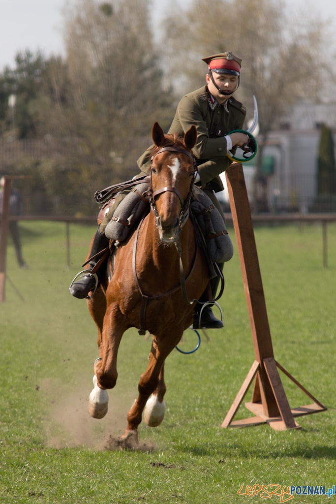 Dni Ułana 2011 - konkurs władania szpadą Foto: lepszyPOZNAN.pl / Piotr Rychter Dni Ułana 2011 - konkurs władania szpadą Foto: lepszyPOZNAN.pl / Piotr Rychter