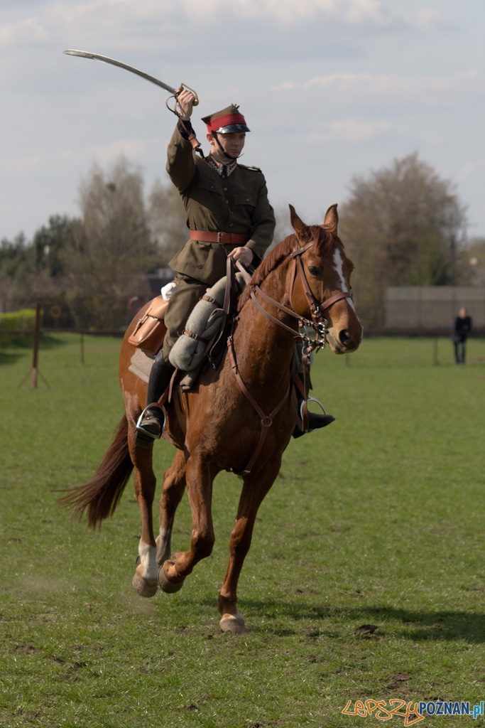 Dni Ułana 2011 - konkurs władania szpadą Foto: lepszyPOZNAN.pl / Piotr Rychter Dni Ułana 2011 - konkurs władania szpadą Foto: lepszyPOZNAN.pl / Piotr Rychter